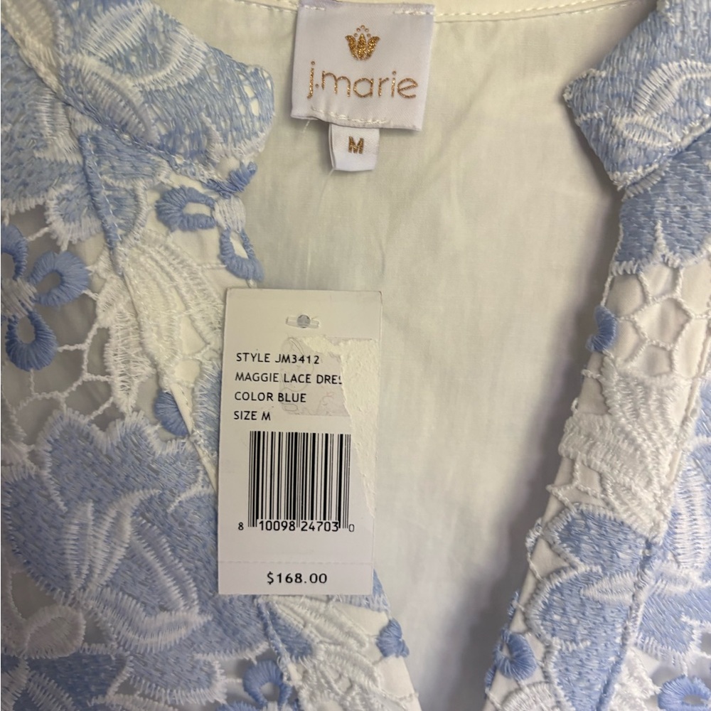 Lace V-Neck Shift Dress in Pale Blue and Cream - Picture 4 of 4